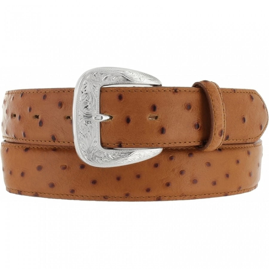 Men's Brighton 1 3/8 Print Ostrich Belt
