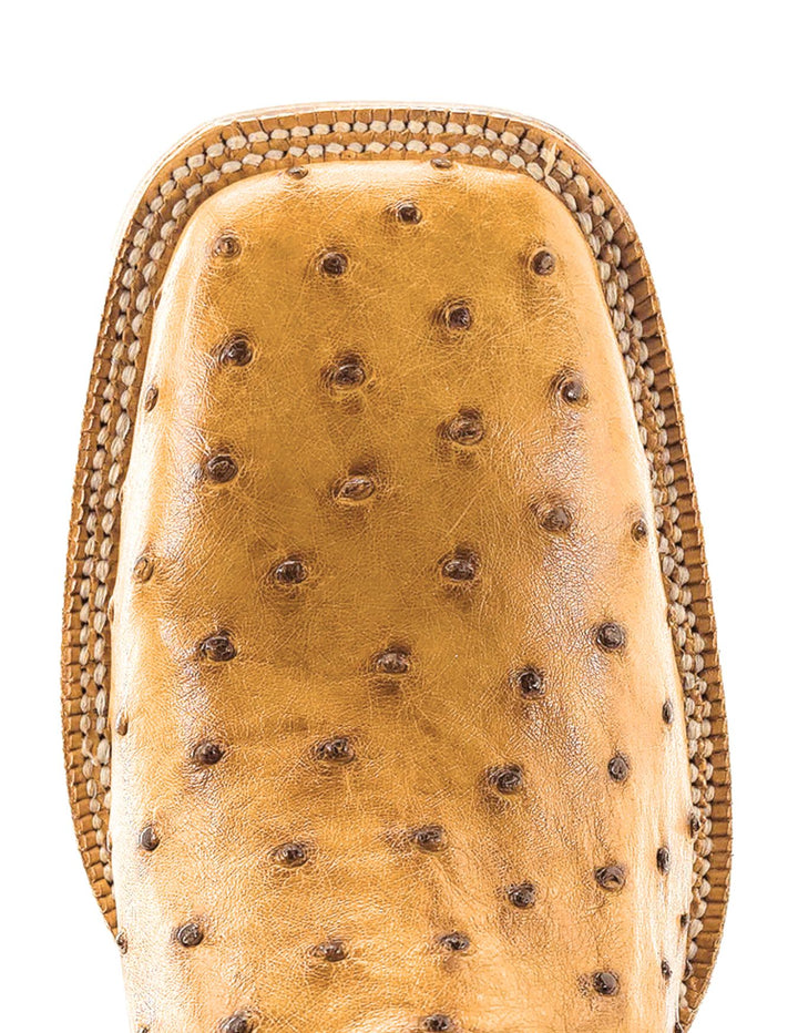 R. Watson Mens Antique Saddle Full Quill Ostrich Boots