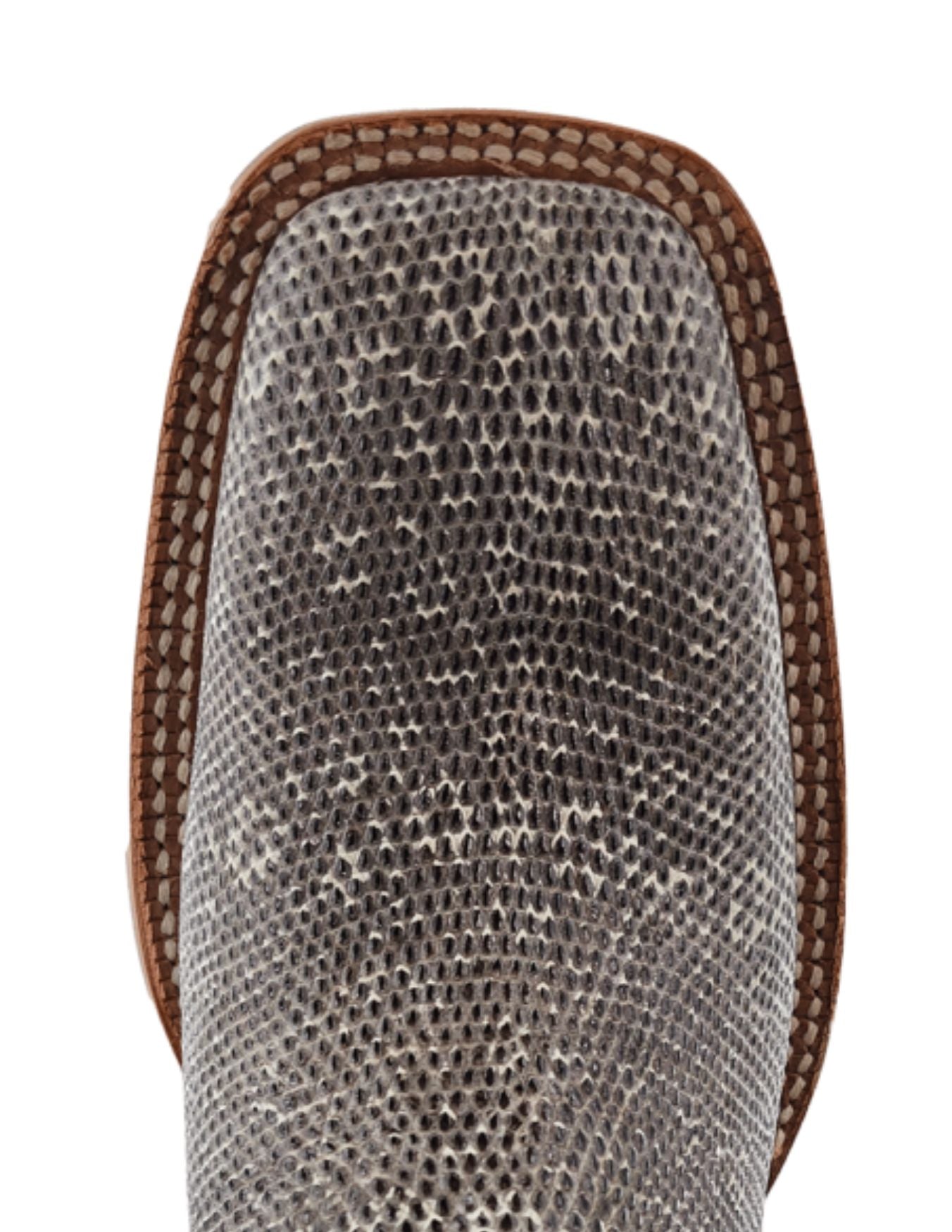 rosymonster ロージーモンスター　ボーダー　セツコサジテール　yori rosymonster ロージーモンスター ボーダー セツコサジテール yori